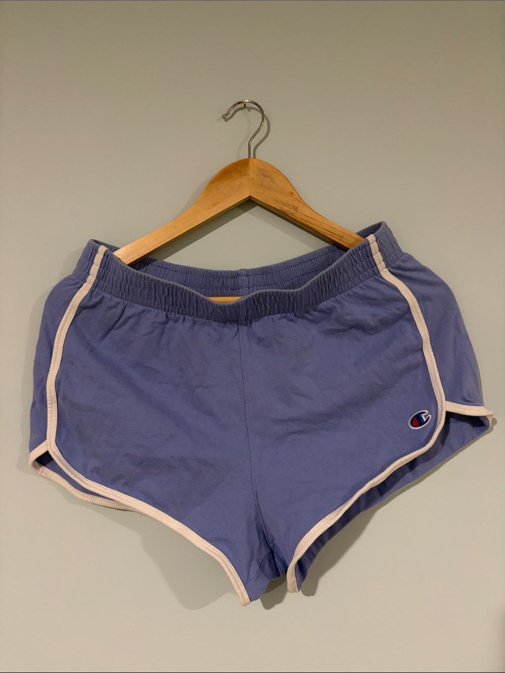 Champion purple dolphin Shorts with white Trim